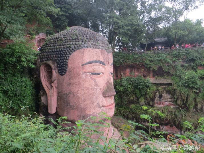 乐山大佛导游词200个字三年级,介绍乐山大佛250个字的导游词