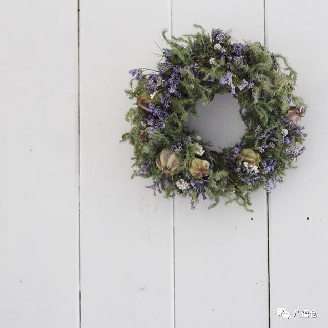 干花和假花有什么区别呀,干花品种及图片大全