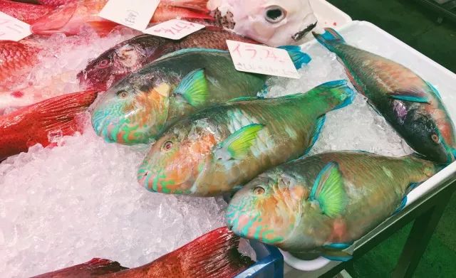 朱元璋黑猪肉,你在这里可以吃到美味的中餐英文