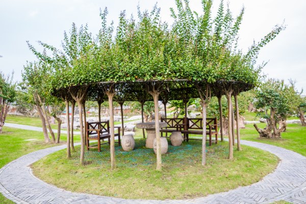 紫薇的价值及图片,紫薇观赏价值