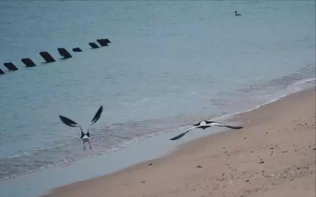 金门周游好去处,不旅行要用什么办法
