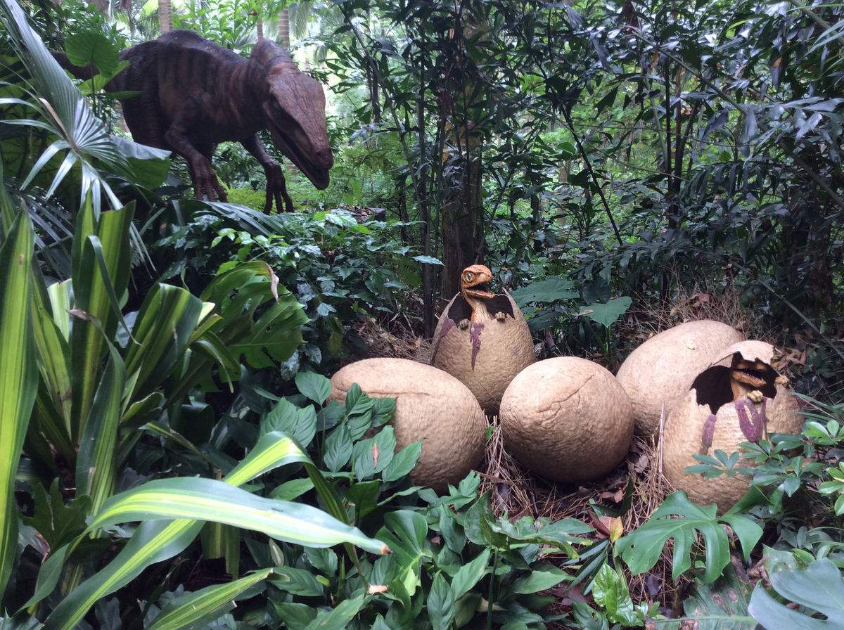 科学家证明时间旅行也许可行,时间旅行宇宙之谜