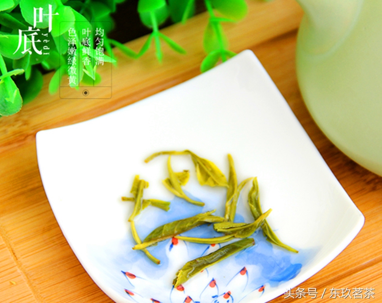 2024狗牯脑茶明前绿茶价格,江西狗牯脑绿茶是什么档次