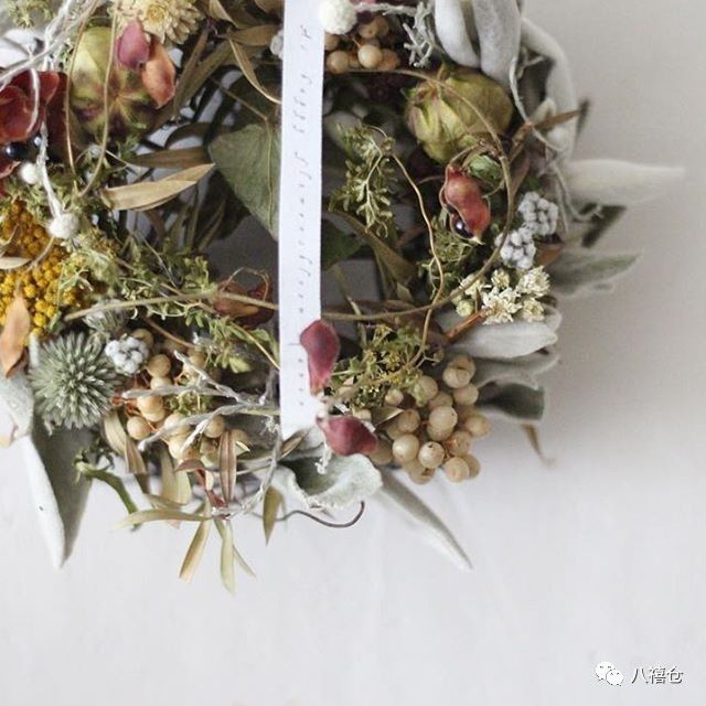 干花和假花有什么区别呀,干花品种及图片大全