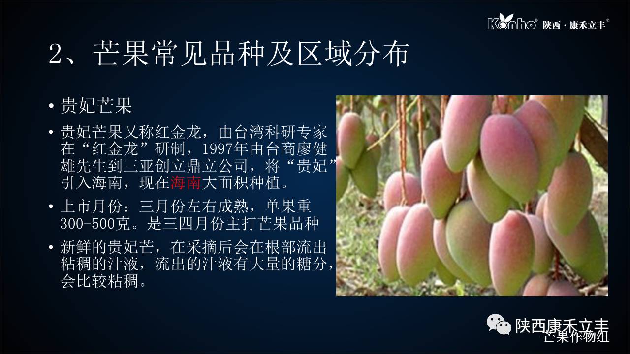 吃了不少的芒果会怎样,吃了一整个芒果会怎么样