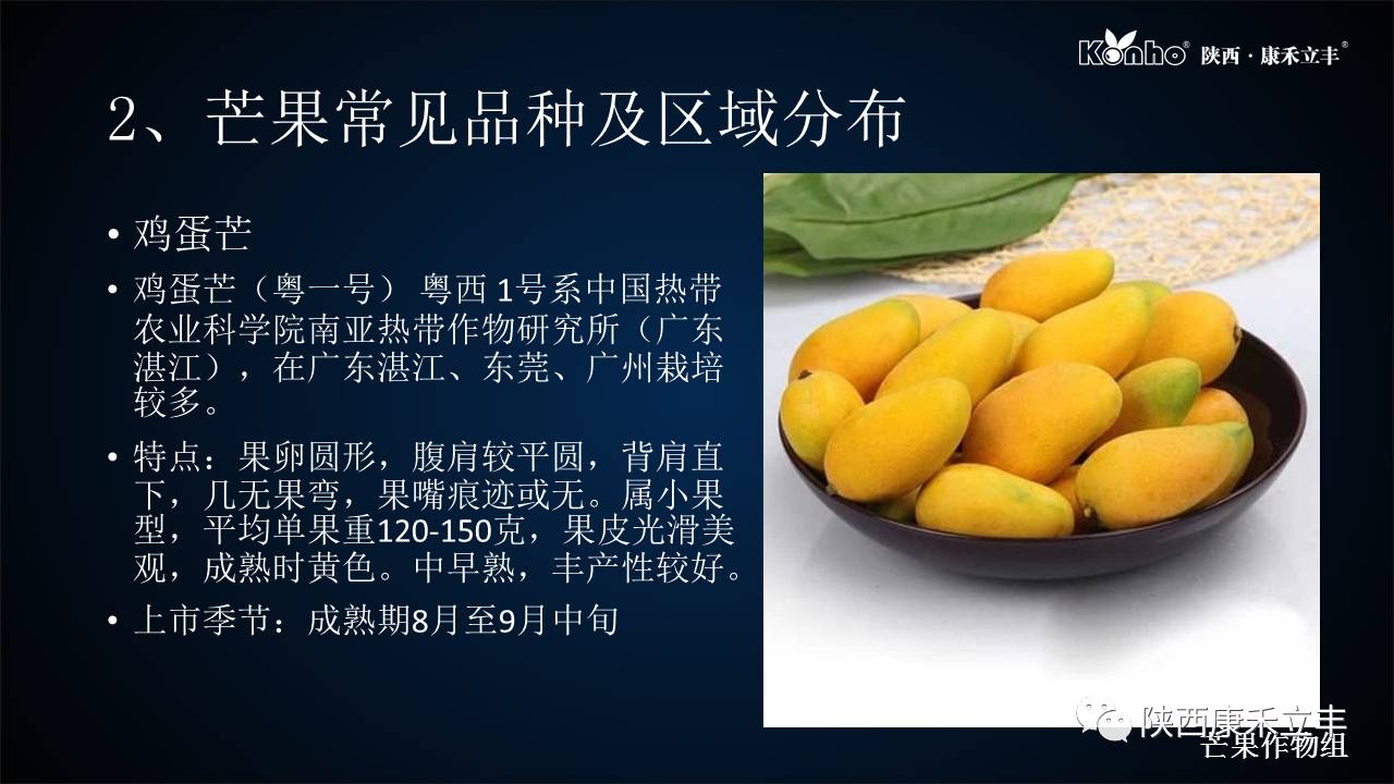 吃了不少的芒果会怎样,吃了一整个芒果会怎么样