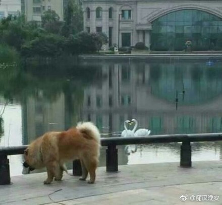 这个村一条秋裤卖全国闯出振兴路,厉害这个村凭一条虾走上了致富路