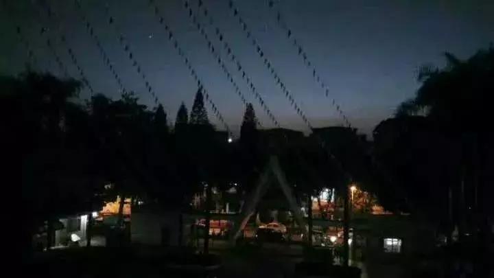 广州最美中学评选NO.10，你的母校排第几？