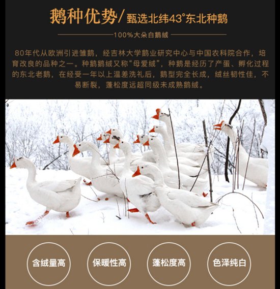 生活不会辜负每个拼命努力的人,每个努力生活的人值得被生活犒赏