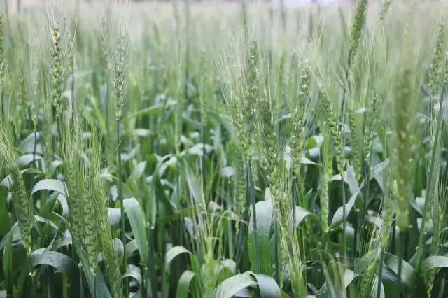 金门周游好去处,不旅行要用什么办法