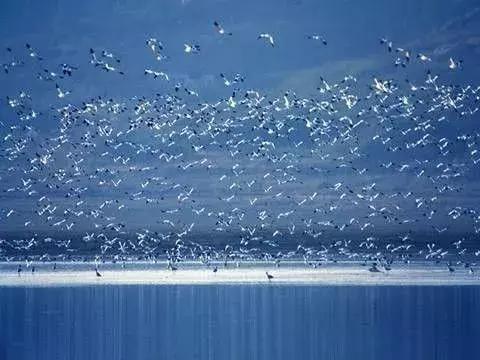 西安到哪里的机票最便宜国庆,元旦机票西安飞哪里最便宜