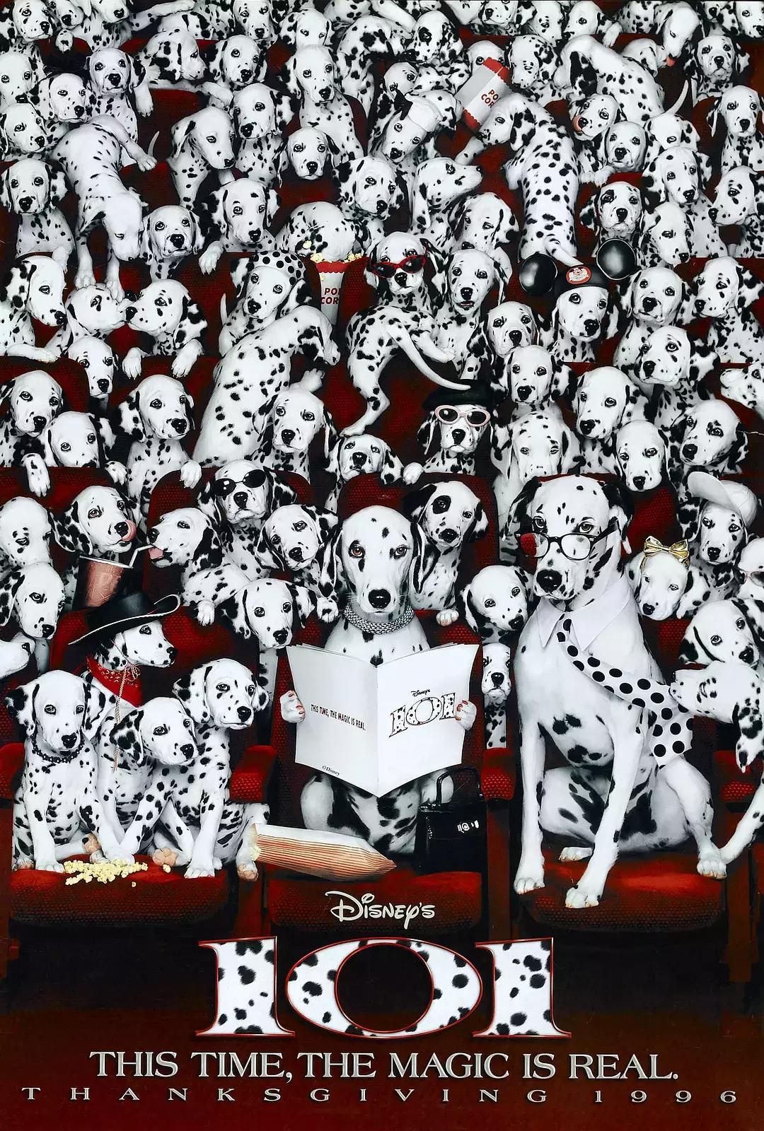 关于忠犬的9部电影推荐,看看有没有你家“那位”的影子