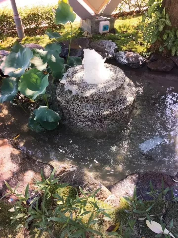 广州最美中学评选NO.10，你的母校排第几？