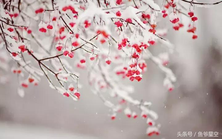 十二生肖富贵命有哪几个生肖,12生肖各有各的命看看你是什么命