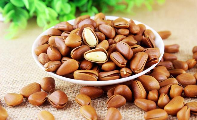 我们一起来挖宝视频,捡漏儿长白山大松子