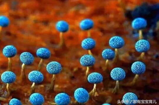 孕期用药一览表,孕期用药有讲究请遵循这4个原则