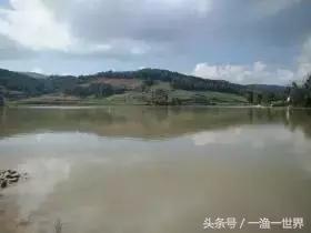 钓鱼人最爱的野钓收获,钓鱼人最喜欢钓啥