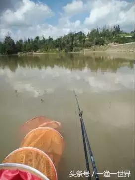 钓鱼人最爱的野钓收获,钓鱼人最喜欢钓啥