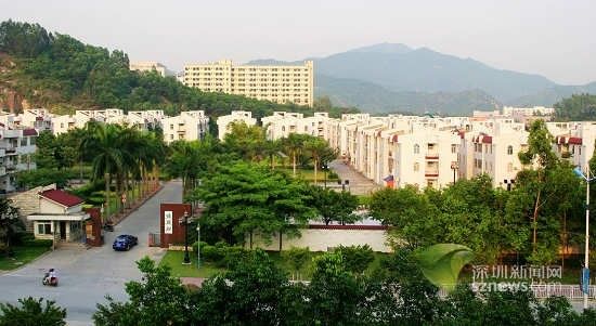 白石洲塘头村要拆迁吗,南山白石洲塘头村租房