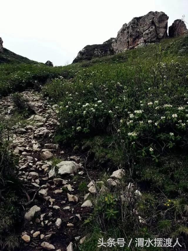 人迹罕至的风景,人迹罕至的神秘美景