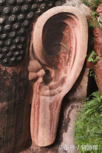 乐山大佛导游词200个字三年级,介绍乐山大佛250个字的导游词