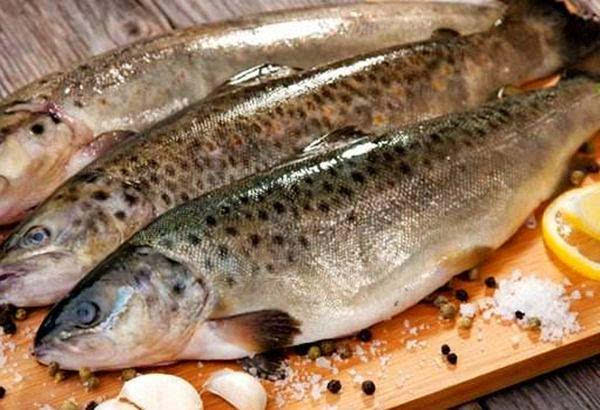 赵本山做的乱炖做法,赵本山最出名的菜炖鱼怎么做