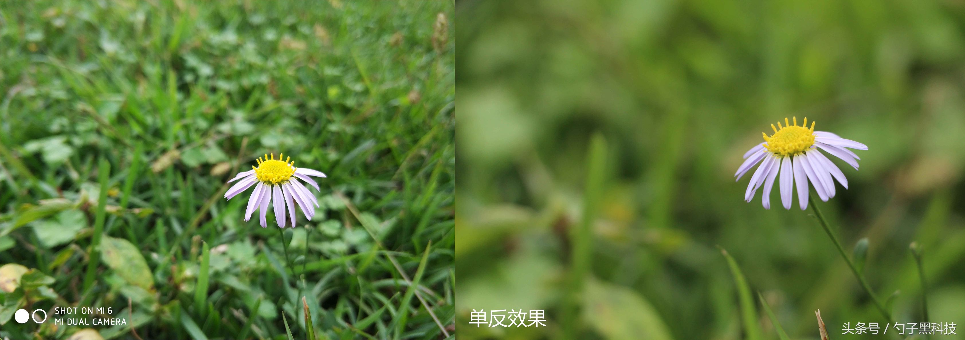 小米6拍摄视频,小米6能拍4k视频吗