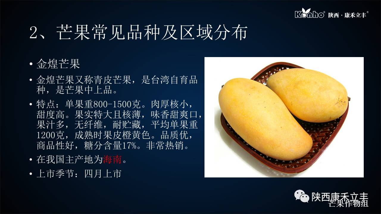 吃了不少的芒果会怎样,吃了一整个芒果会怎么样