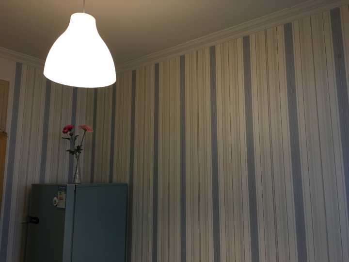 厉害辣我的姐！这是一个关于1000元改变出租屋的苦逼故事！