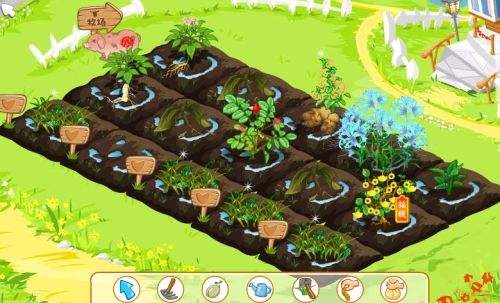 类“偷菜”游戏中的传销*局骗**:涉嫌非法吸收公众存款