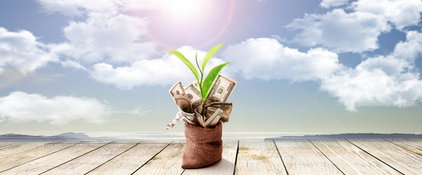 人民币收藏兑换技巧,加币怎样在手机上兑换人民币