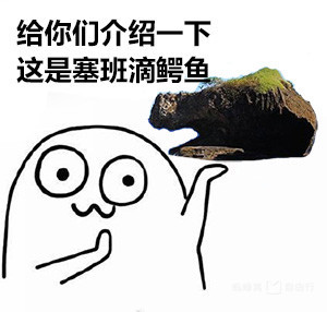 去塞班旅行自由行攻略,来塞班旅游怎么样