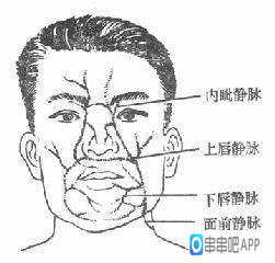 19岁女孩挤了一个痘痘,女孩挤痘引颅内感染