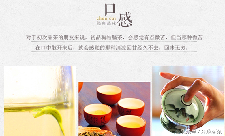 2024狗牯脑茶明前绿茶价格,江西狗牯脑绿茶是什么档次