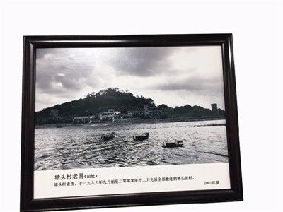 白石洲塘头村要拆迁吗,南山白石洲塘头村租房