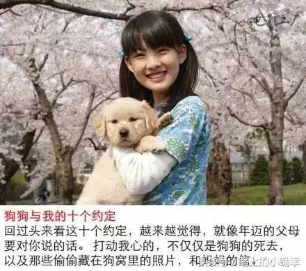 关于忠犬的9部电影推荐,看看有没有你家“那位”的影子