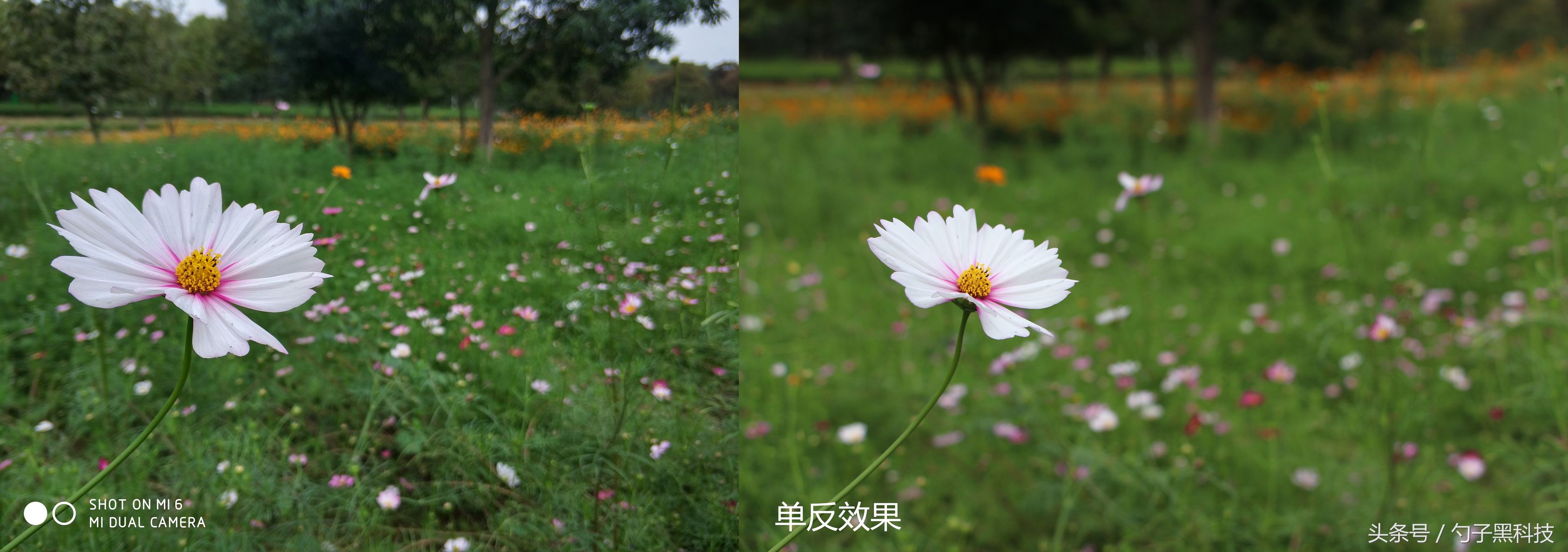 小米6拍摄视频,小米6能拍4k视频吗