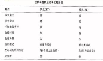 小腿粗如何变细腿男生,小腿粗如何训练