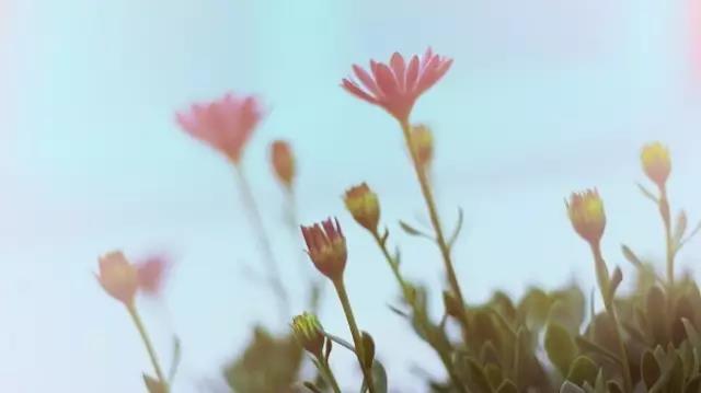 栗子姐情感问答07,栗子姐每日情感问答100句