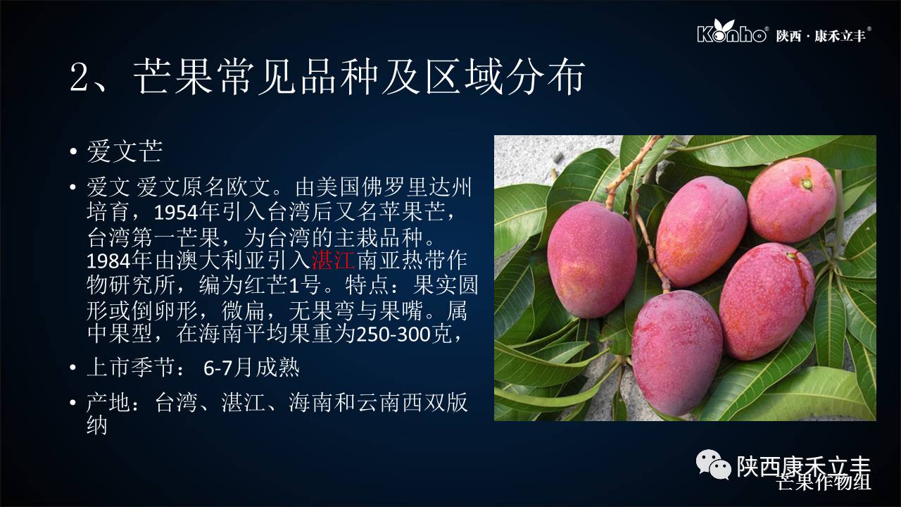 吃了不少的芒果会怎样,吃了一整个芒果会怎么样