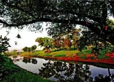 天津静海区2020年发展规划,天津市静海区2024年重点发展