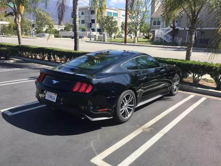 北美试驾福特探险者,美国福特野马试驾