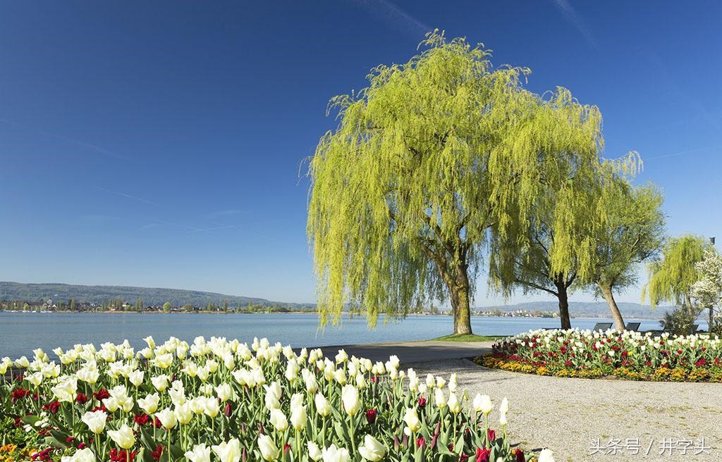 养生｜《服气精义论》，发展陶弘景服气疗病思想，简单可行