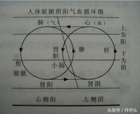 养生｜《服气精义论》，发展陶弘景服气疗病思想，简单可行
