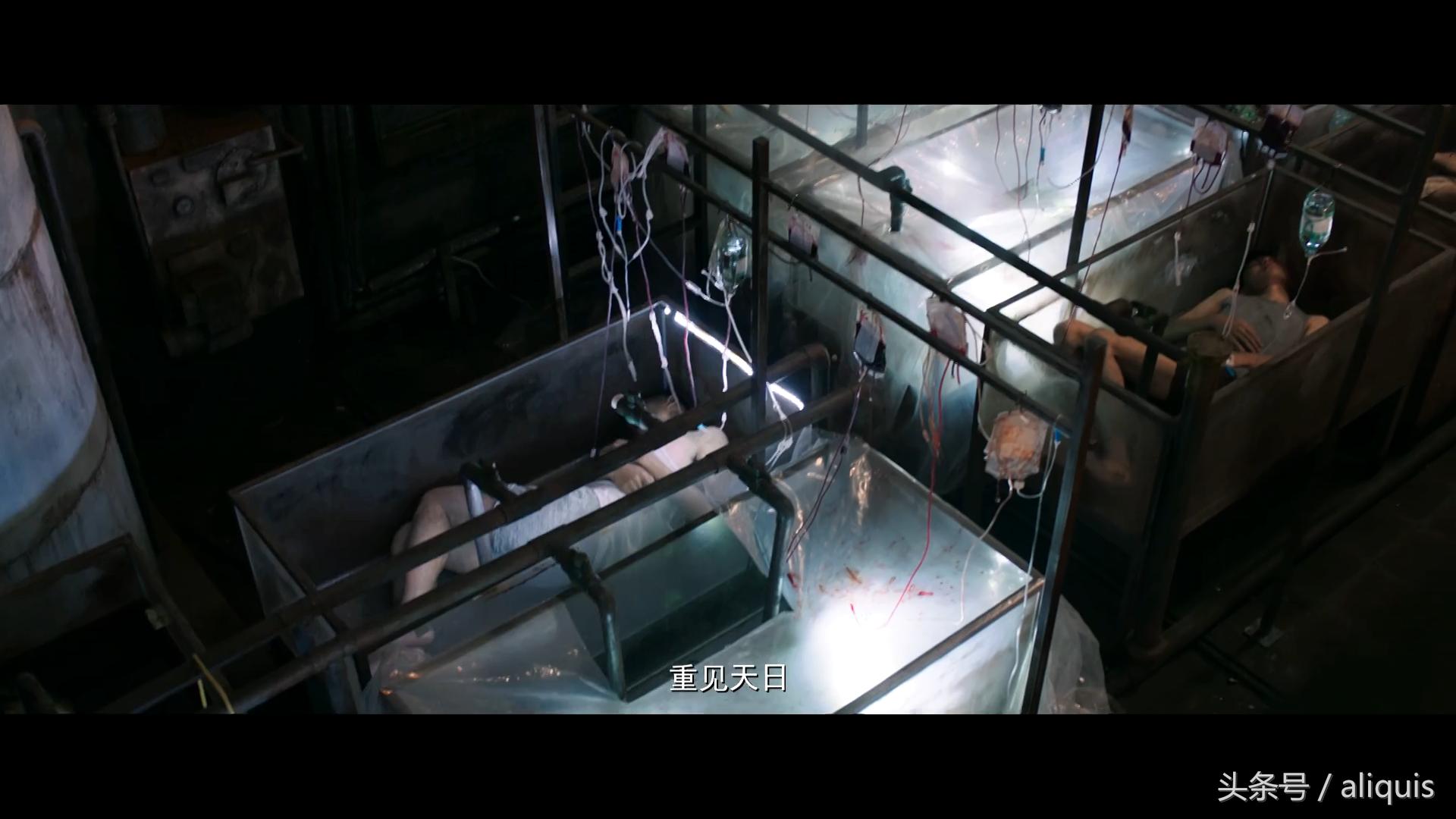 心理罪所有烂片,评价心理罪