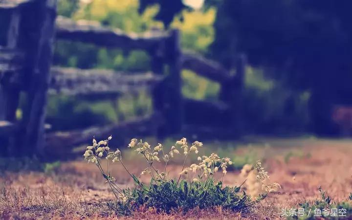 十二生肖富贵命有哪几个生肖,12生肖各有各的命看看你是什么命