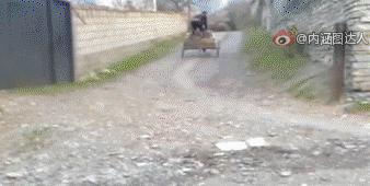 青春旅社王源景甜去医院视频,青春旅社赵英俊王源景甜