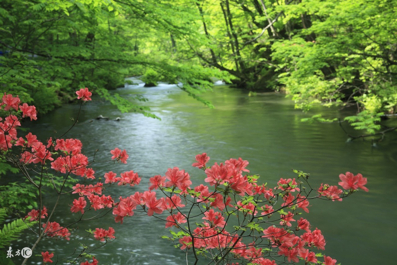 属兔人后十年大运,属兔人的后半生