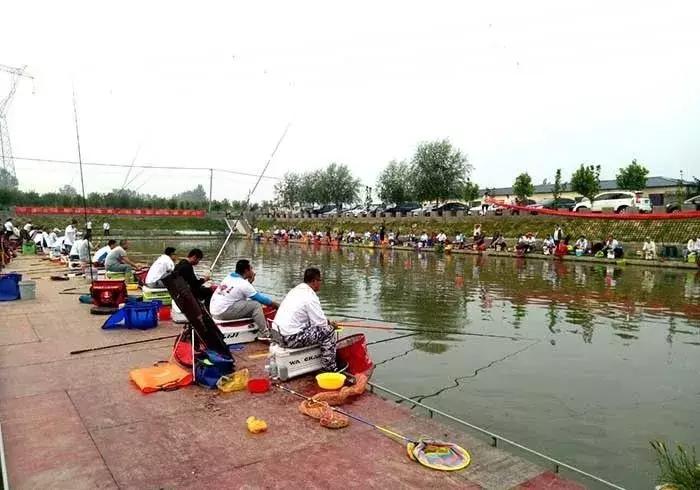 定州行营户外钓具,定州行营钓具