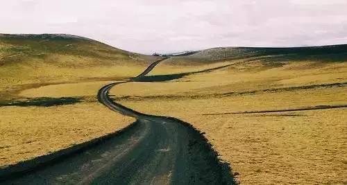吃了不少的芒果会怎样,吃了一整个芒果会怎么样